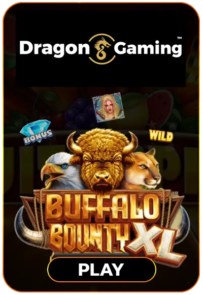 smm-pg-soft cover image png